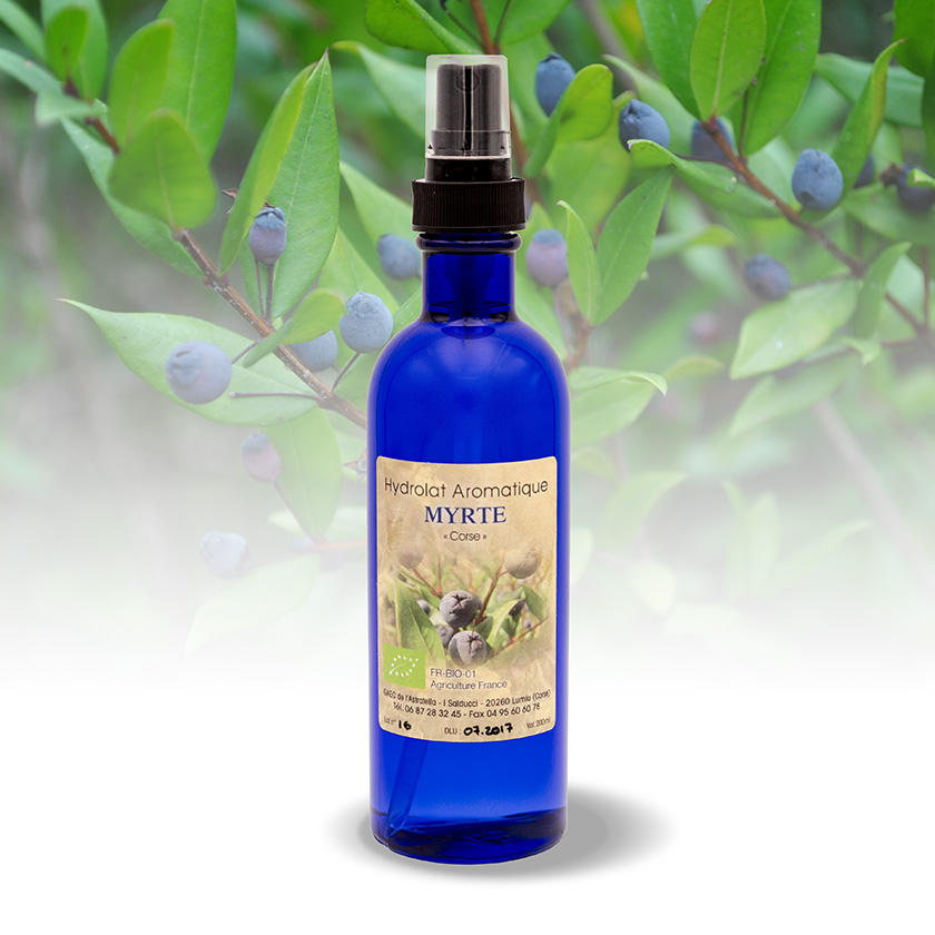 Hydrolat Ou Eau Florale De Myrte Saveurs De Corse