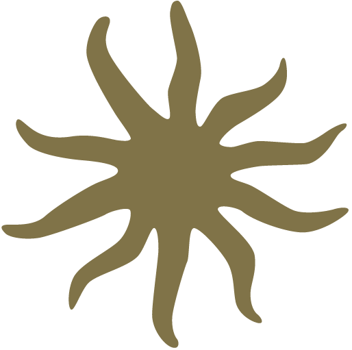 Logo Domaine Vecchio