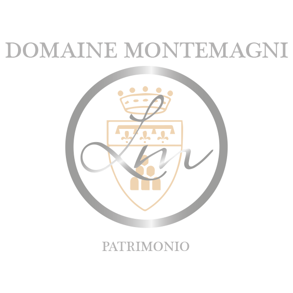 logo_montemagni